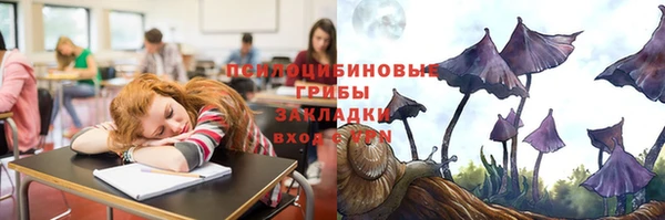 гидра Алексеевка
