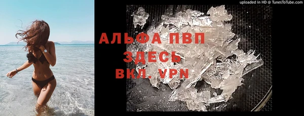 гидра Алексеевка