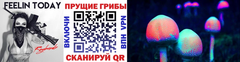 наркошоп Дзержинский Галлюциногенные грибы Psilocybe