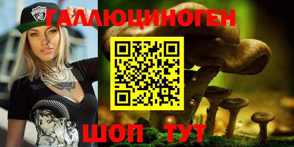 купить наркотики цена  Вход с VPN  Дзержинский  Галлюциногенные грибы GOLDEN TEACHER 