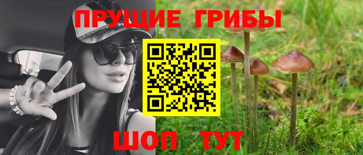 Псилоцибиновые грибы Magic Shrooms Дзержинский